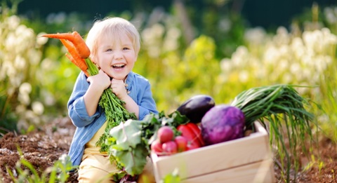 légumes de printemps